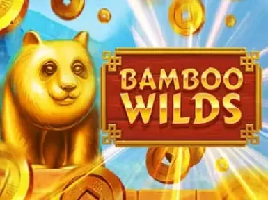 Wizebets Casino screenshot